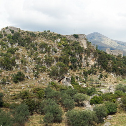 Kalaja e Delvinës