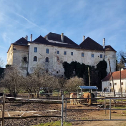 Schloss Albrechtsberg