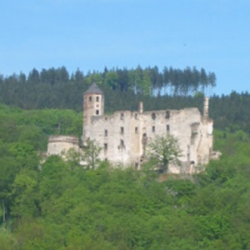 Burgruine Hohenegg