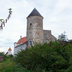 Schloss Viehofen