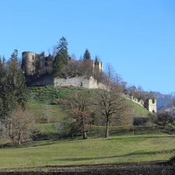 Burgruine Waisenberg