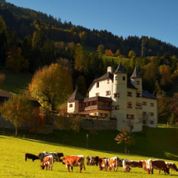 Schloss Weitmoser