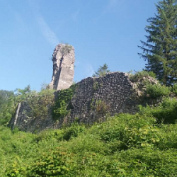 Burgruine Wildenstein