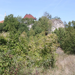 Stari grad Pećigrad