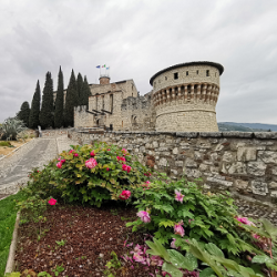 Museo delle Armi 